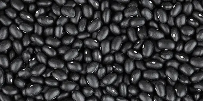 Frijol Negro