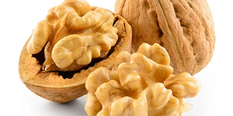 Nuez de Castilla